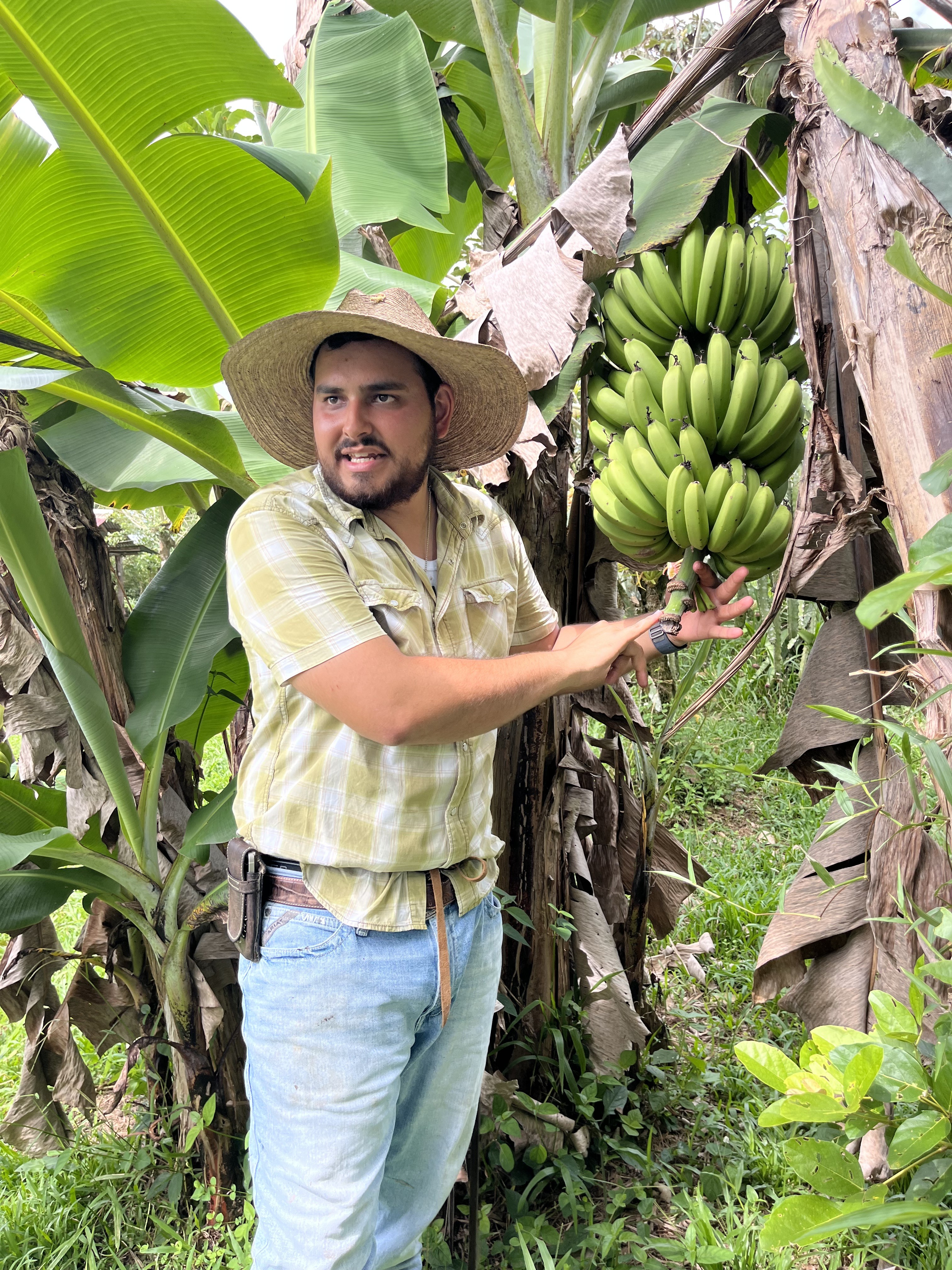 Photo 5 - bananas.jpeg